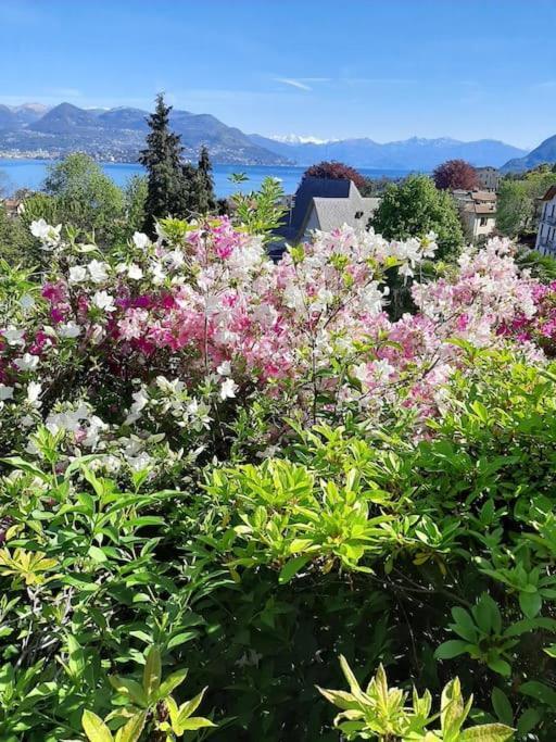 La Finestra Sul Lago - In Villa Con Vista E Posto Auto Coperto ストレーザ エクステリア 写真